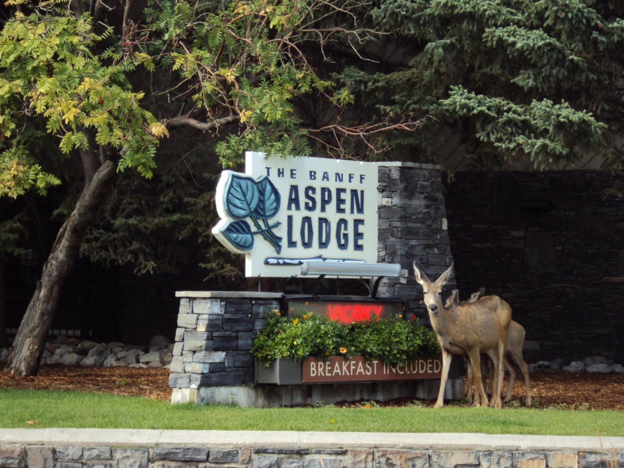 Banff Aspen Lodge Luaran gambar